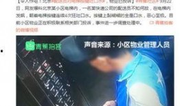 长春电梯爆料事件视频,惊险一幕引发安全警示