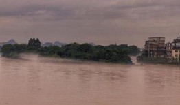 桂林涨水爆料视频最新版,最新爆料视频揭示现场惊险景象